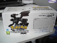DSI Pokemon version blanche mini1