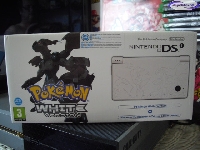 DSI Pokemon white version mini1