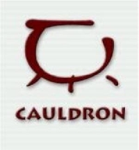 Cauldron Ltd. mini1