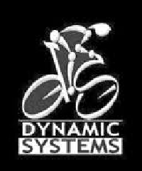 Dynamic Systems Ltd. mini1