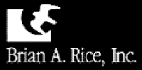 Brian A. Rice, Inc. mini1