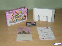 Super Mario Advance 3 mini1