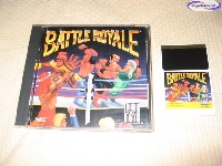 Battle Royale mini1