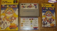 Mario to Wario mini1