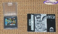 The Adventures of Batman & Robin mini1