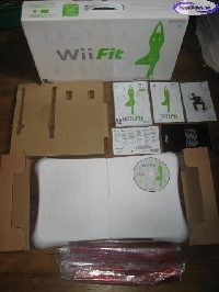 Wii Fit mini1