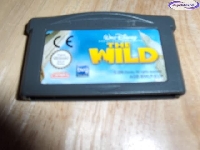 Walt Disney's The Wild mini1