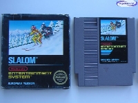 Slalom - European Version mini1