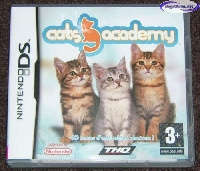 Cats Academy mini1