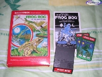 Frog bog mini1