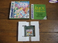 Alice in Wonderland mini1
