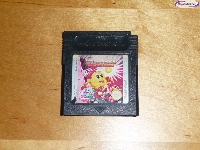 Ms. Pac-Man: Special Color Edition mini1