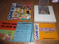 Game Boy Gallery: 5 Games in 1 mini1