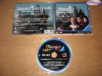 Master Labyrinth mini1