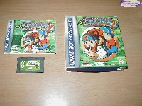 Mega Man Battle Network 2 mini1