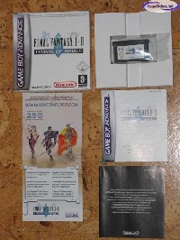 Final Fantasy I & II: Dawn of Souls mini1