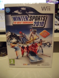 Winter Sports 2010: The Great Tournament mini1
