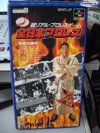 Zen Nihon Pro Wrestling mini1
