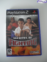 World Fighting mini1
