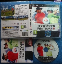 Tiger Woods PGA Tour 11 mini1