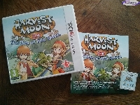 Harvest Moon 3D: The Tale of Two Towns mini1