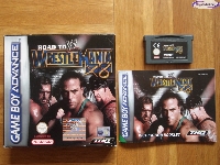 WWE Road to WrestleMania X8 mini1