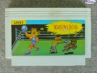Boxing mini1