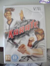 All-Star Karate mini1