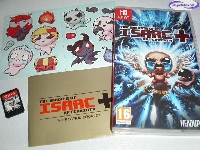 The Binding of Isaac Afterbirth + mini1