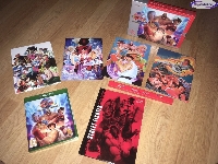 Street Fighter: 30th Anniversary Collection - Edition collector limitée Pix'n Love mini1
