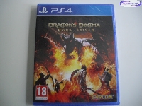 Dragon's Dogma: Dark Arisen mini1