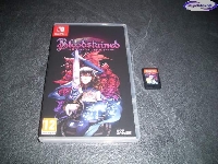 Bloodstained: Ritual of the Night mini1