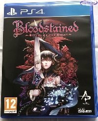 Bloodstained: Ritual Of The Night mini1