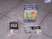 Wonder Boy III: The Dragon's Trap mini1