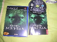 Enter the Matrix mini1