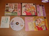 Shin Fortune Quest: Sokutaku no Kishi mini1