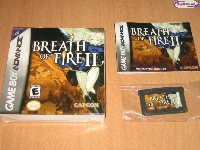 Breath of Fire II mini1