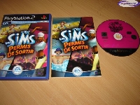 Les Sims: Permis de Sortir mini1