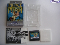 Prince of Persia mini1