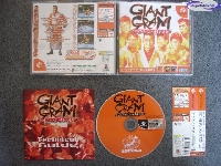 Giant Gram: All-Japan Pro Wrestling 2 mini1
