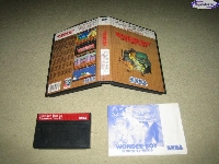 Wonder Boy in Monster World - Classic mini1