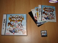 Harvest Moon DS mini1